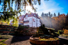 Elita Hotel & Restauracja, Iwonicz-Zdrój